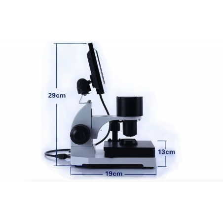 CAPILLAR ( microscope)