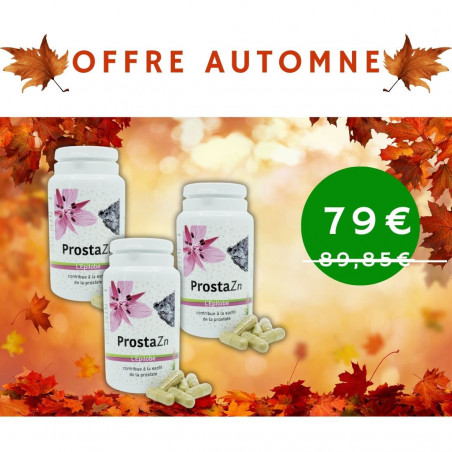 Offre Automne 2024